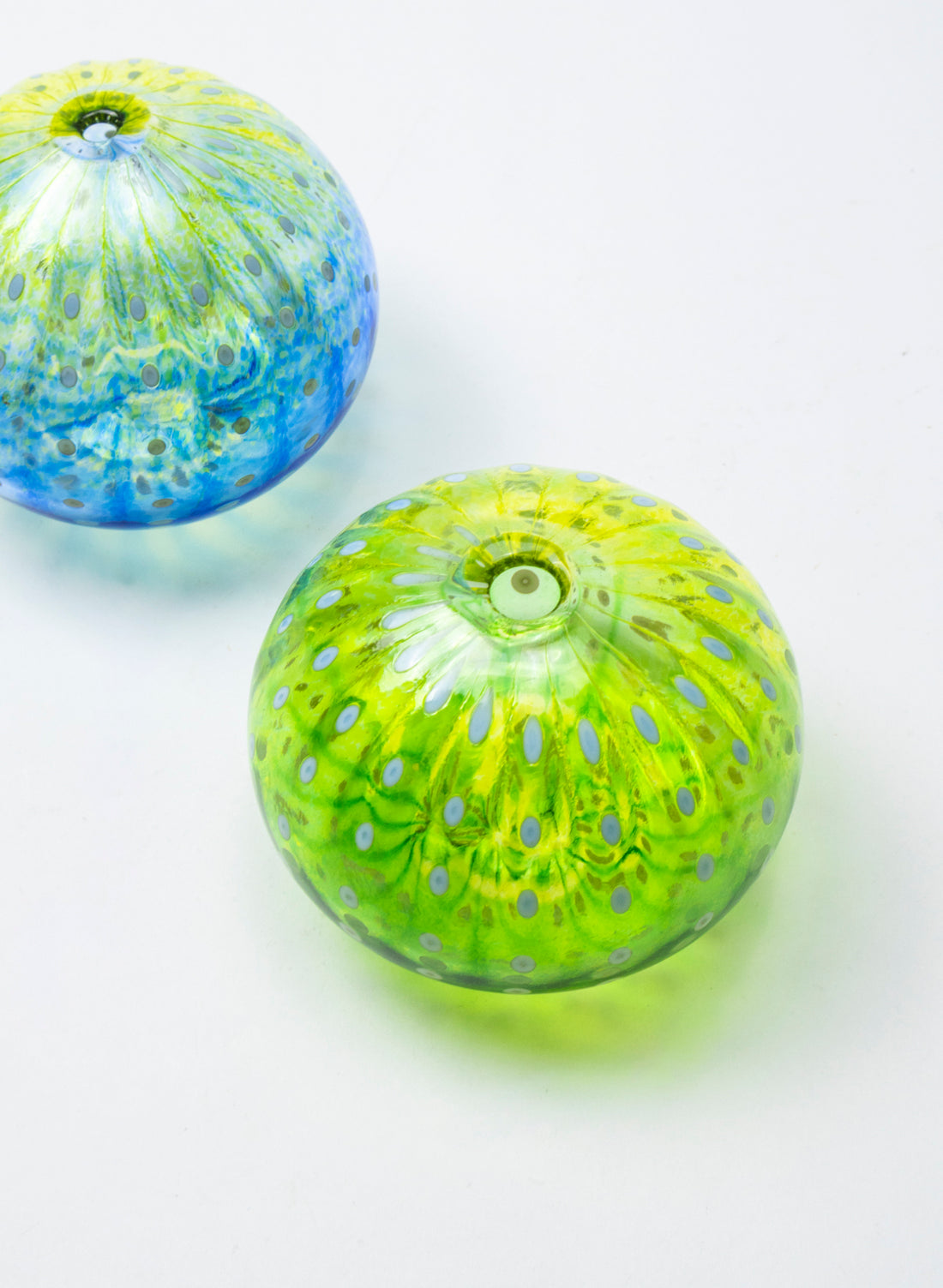 Sea Urchin - Green &amp; Yellow