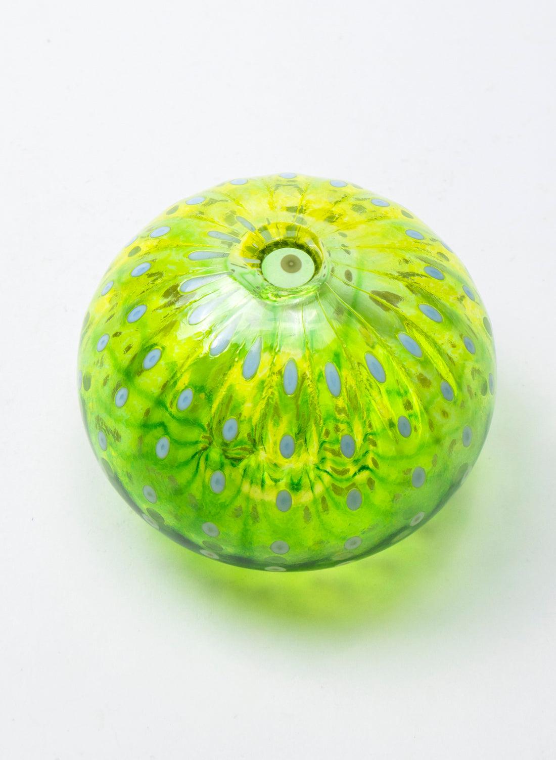 Sea Urchin - Green &amp; Yellow