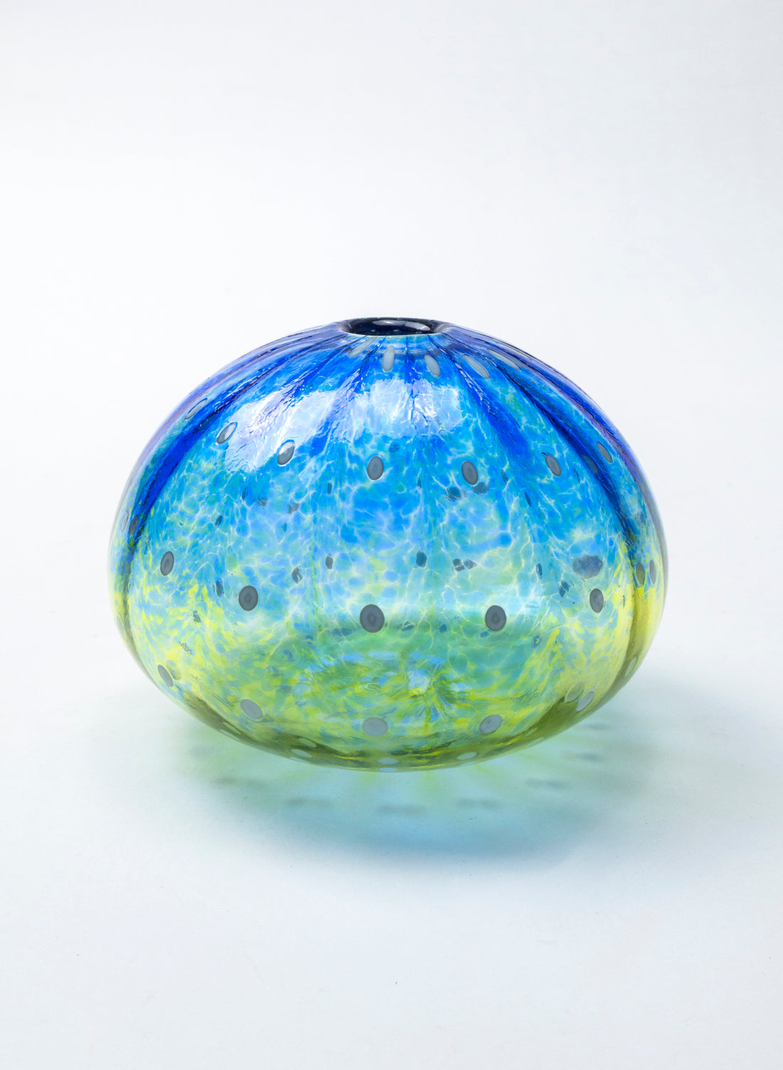 Sea Urchin - Dark Blue &amp; Green