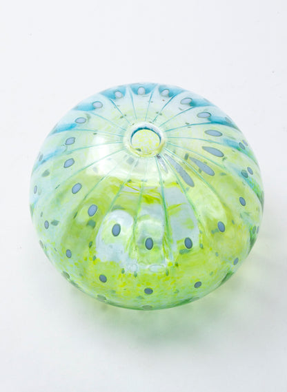 Sea Urchin - Aqua &amp; Lime