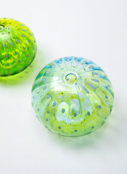 Sea Urchin - Aqua &amp; Lime
