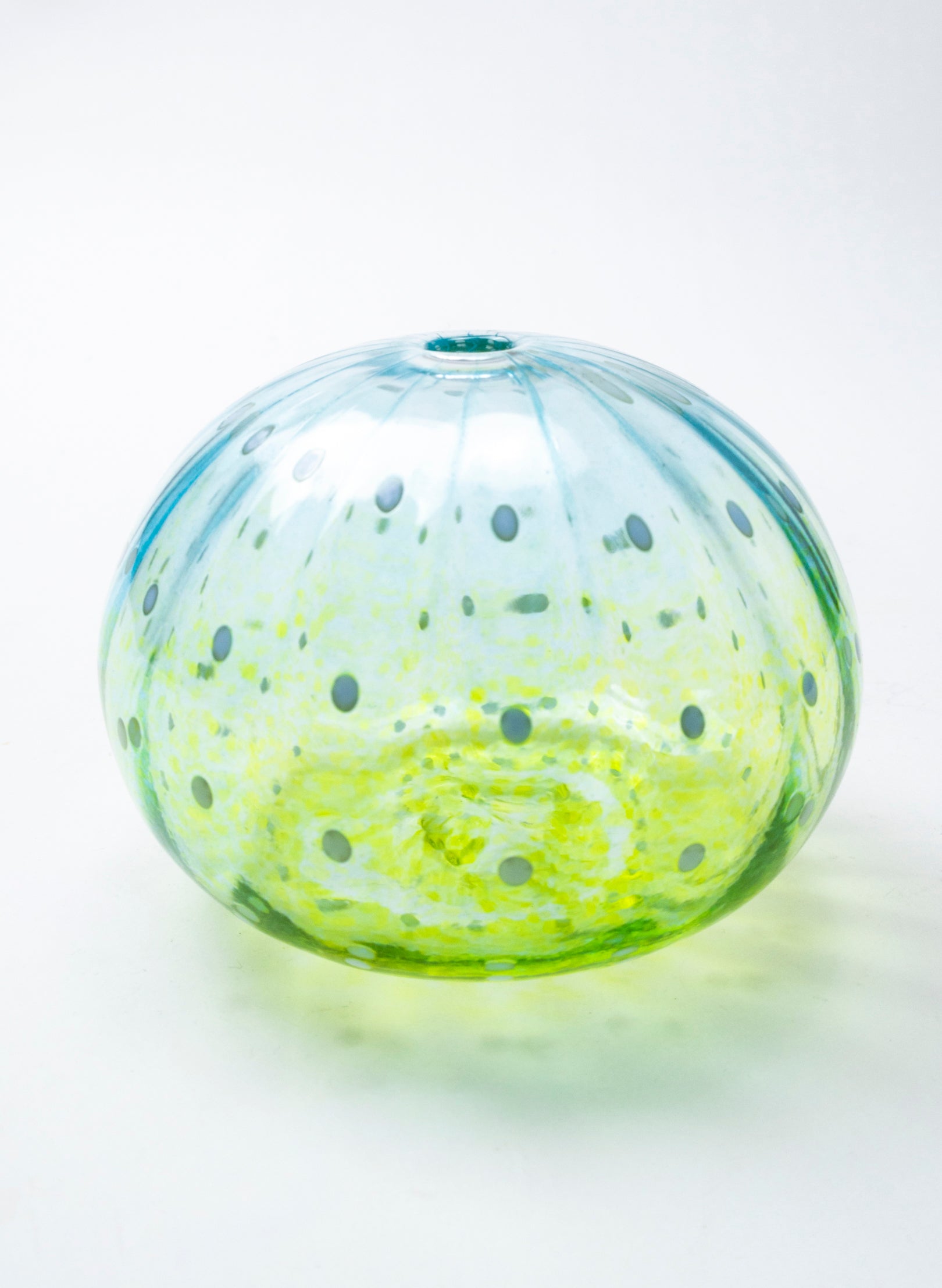Sea Urchin - Aqua &amp; Lime
