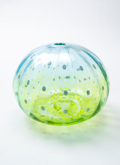 Sea Urchin - Aqua &amp; Lime