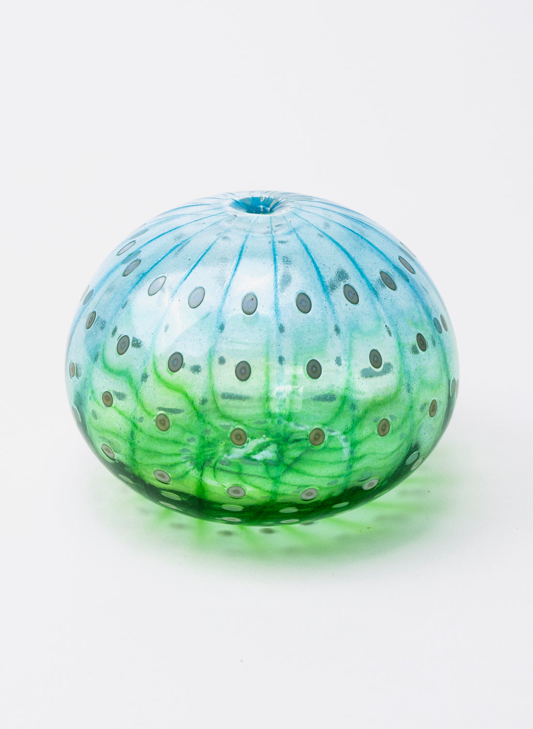 Sea Urchin - Blue &amp; Green