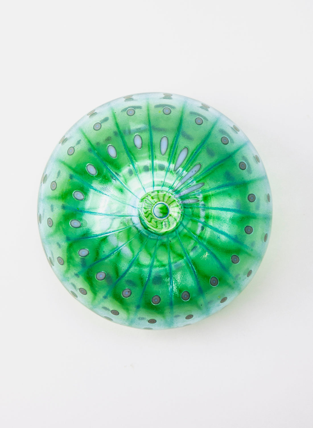 Sea Urchin - Blue &amp; Green