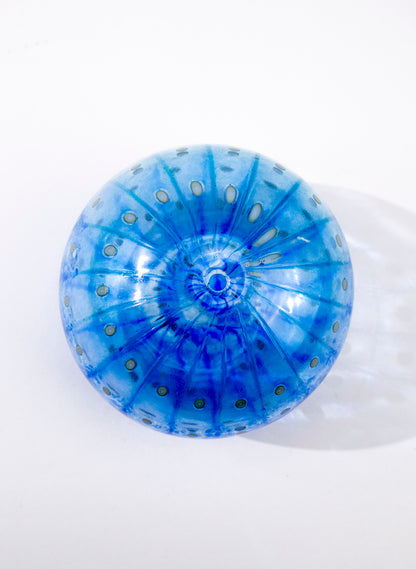 Sea Urchin - Blue