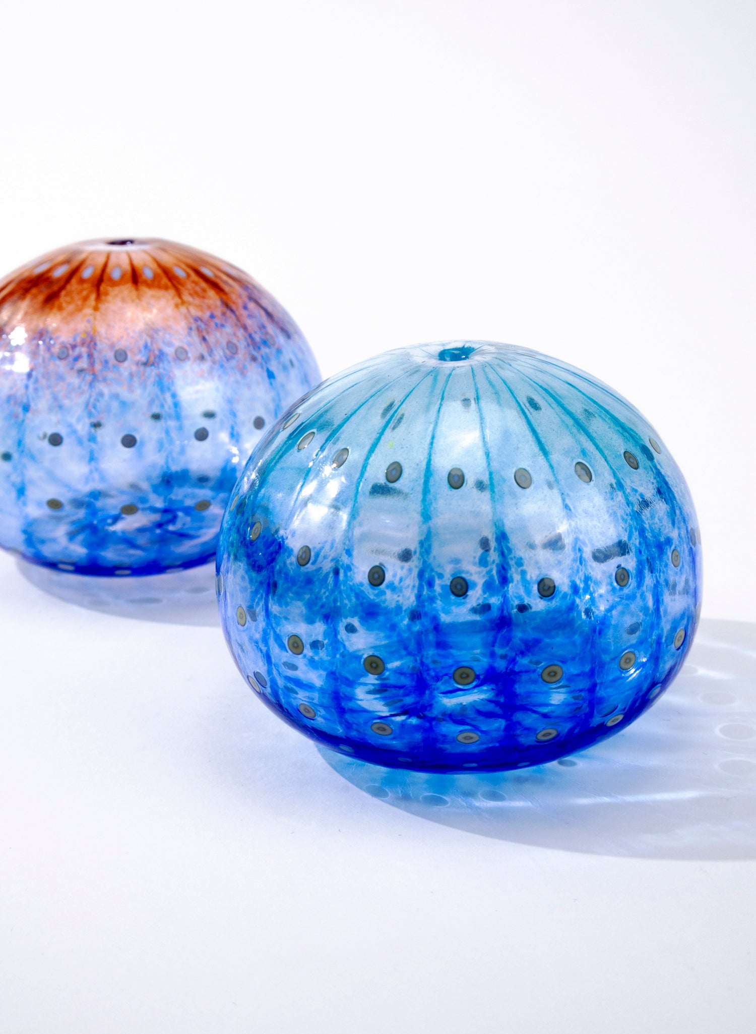 Sea Urchin - Blue