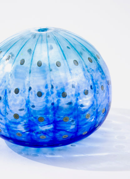 Sea Urchin - Blue