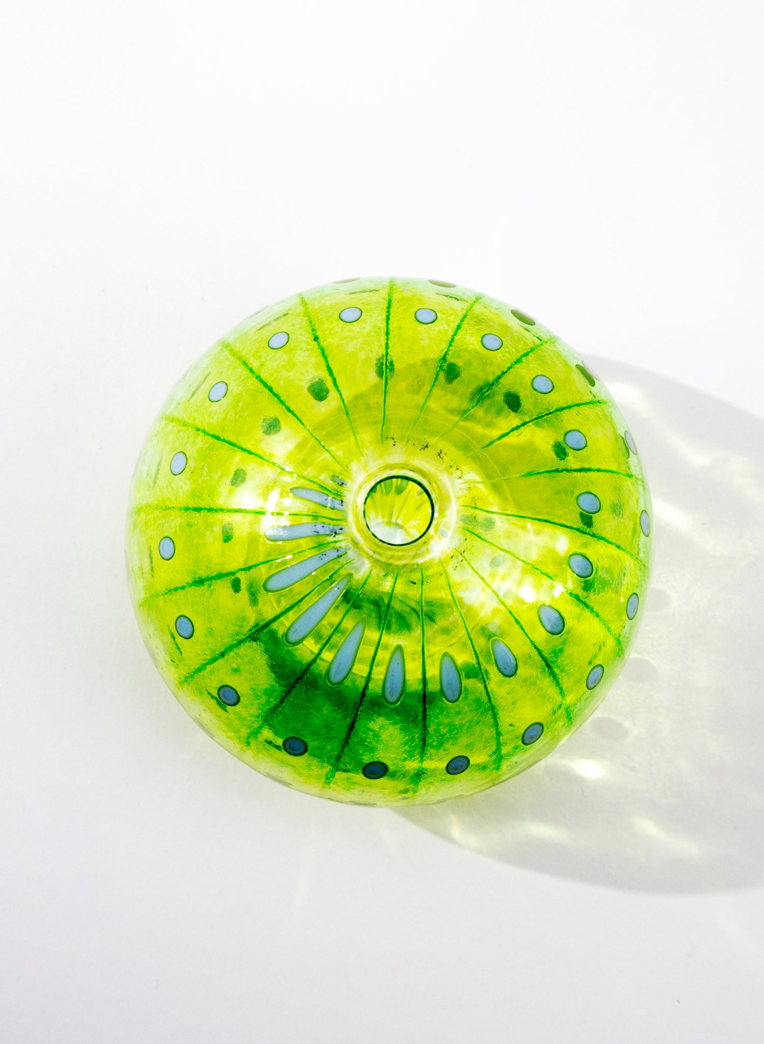 Sea Urchin - Green