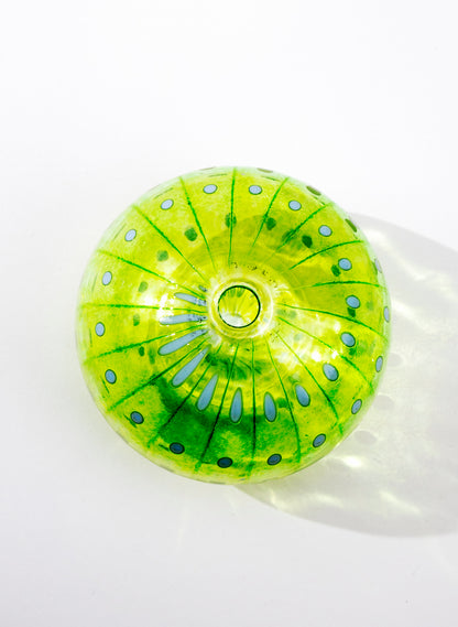 Sea Urchin - Green
