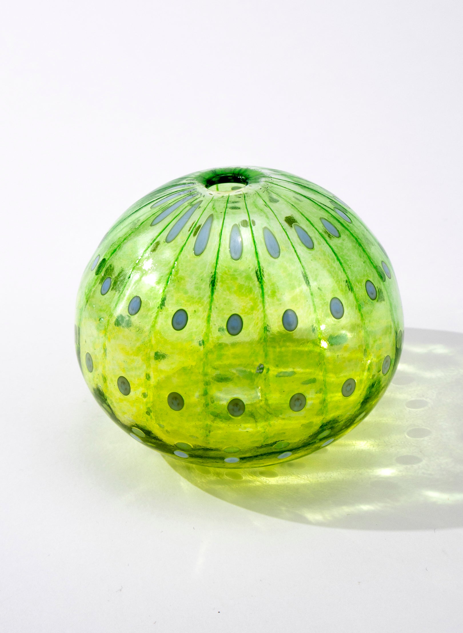 Sea Urchin - Green