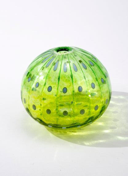 Sea Urchin - Green