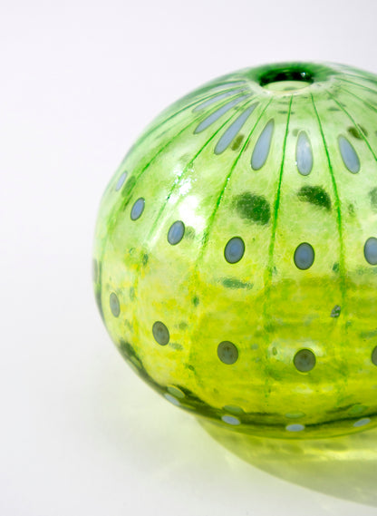 Sea Urchin - Green