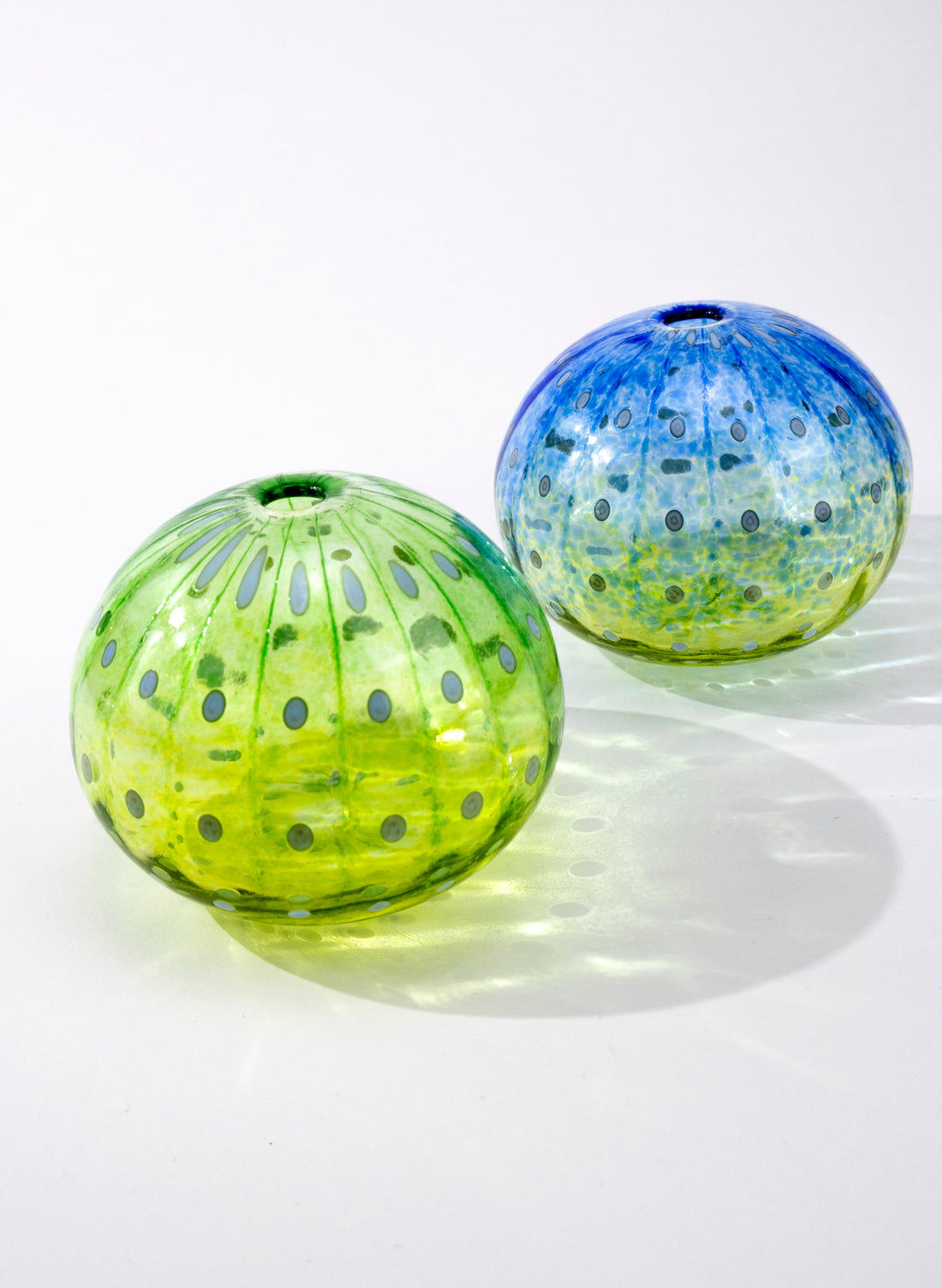 Sea Urchin - Green