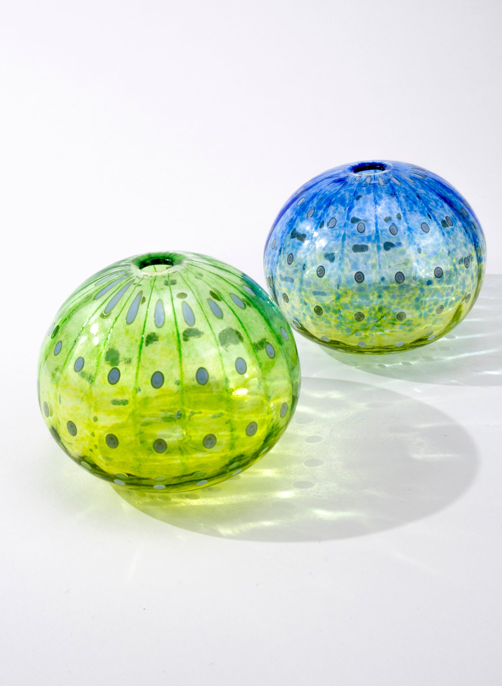 Sea Urchin - Green