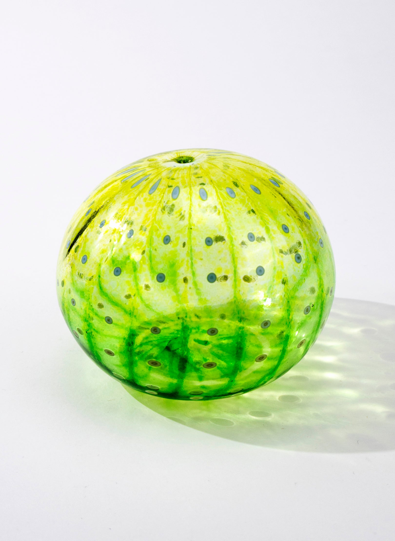 Sea Urchin - Green