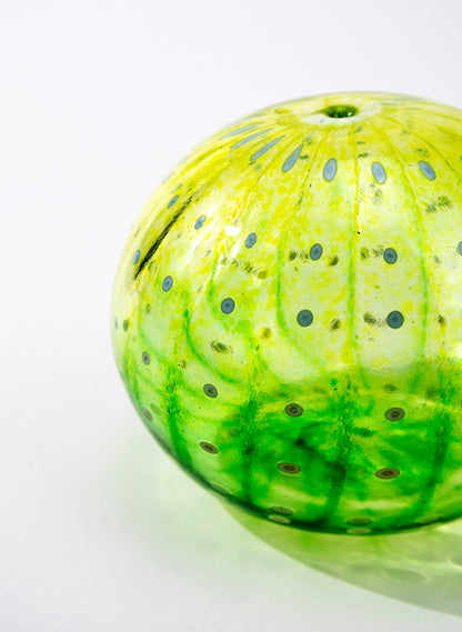 Sea Urchin - Green