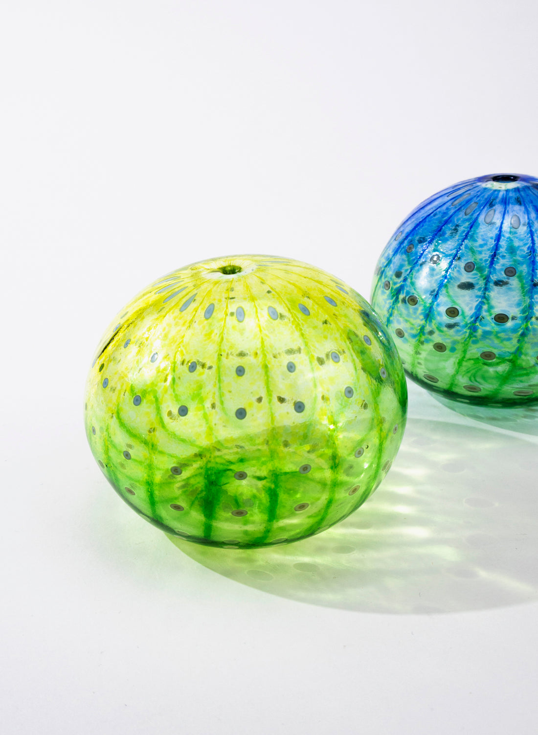 Sea Urchin - Green