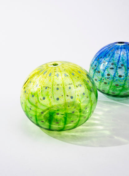 Sea Urchin - Green