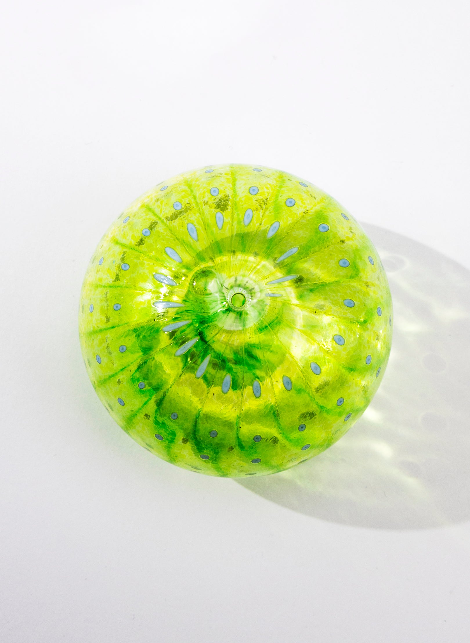 Sea Urchin - Green
