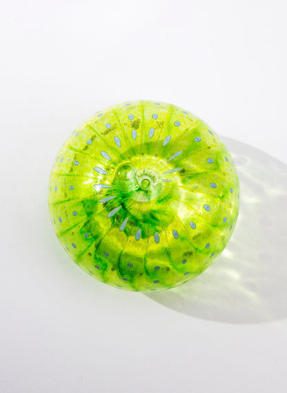 Sea Urchin - Green