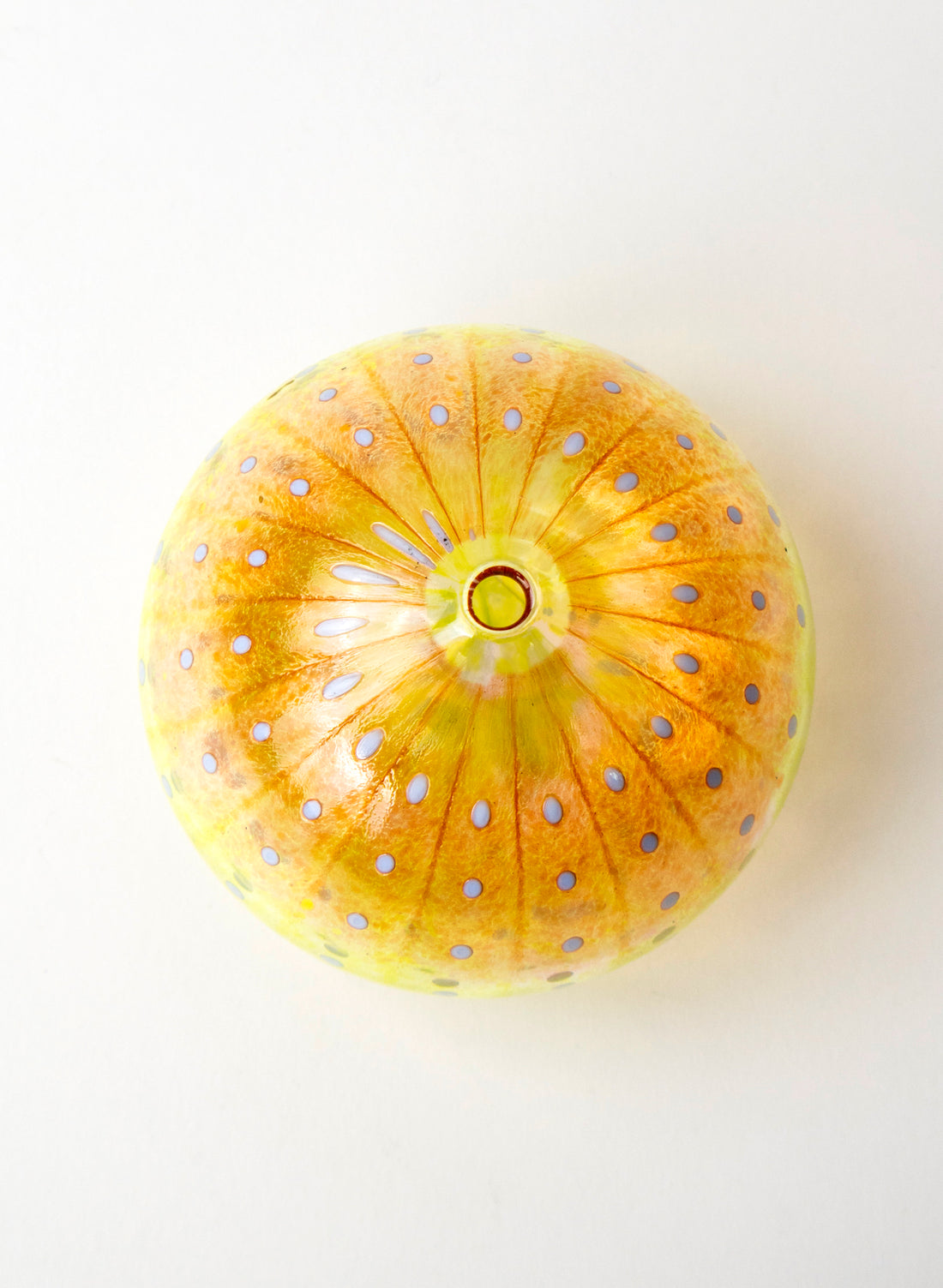 Sea Urchin - Red &amp; Yellow