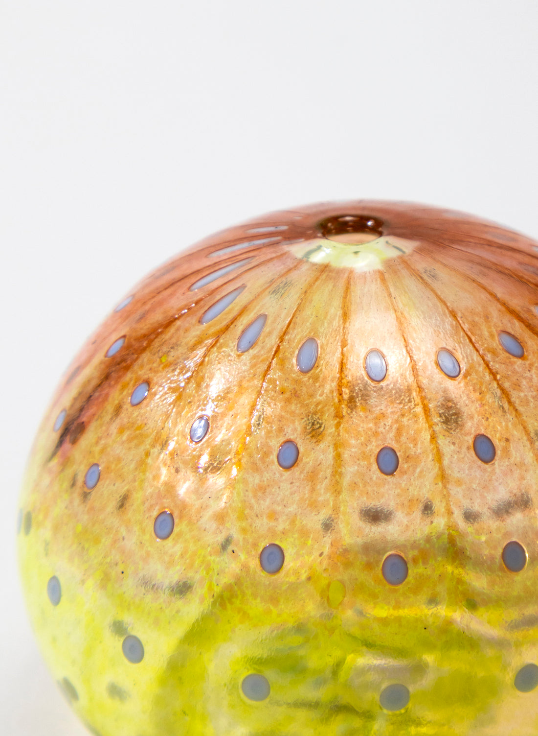 Sea Urchin - Red &amp; Yellow