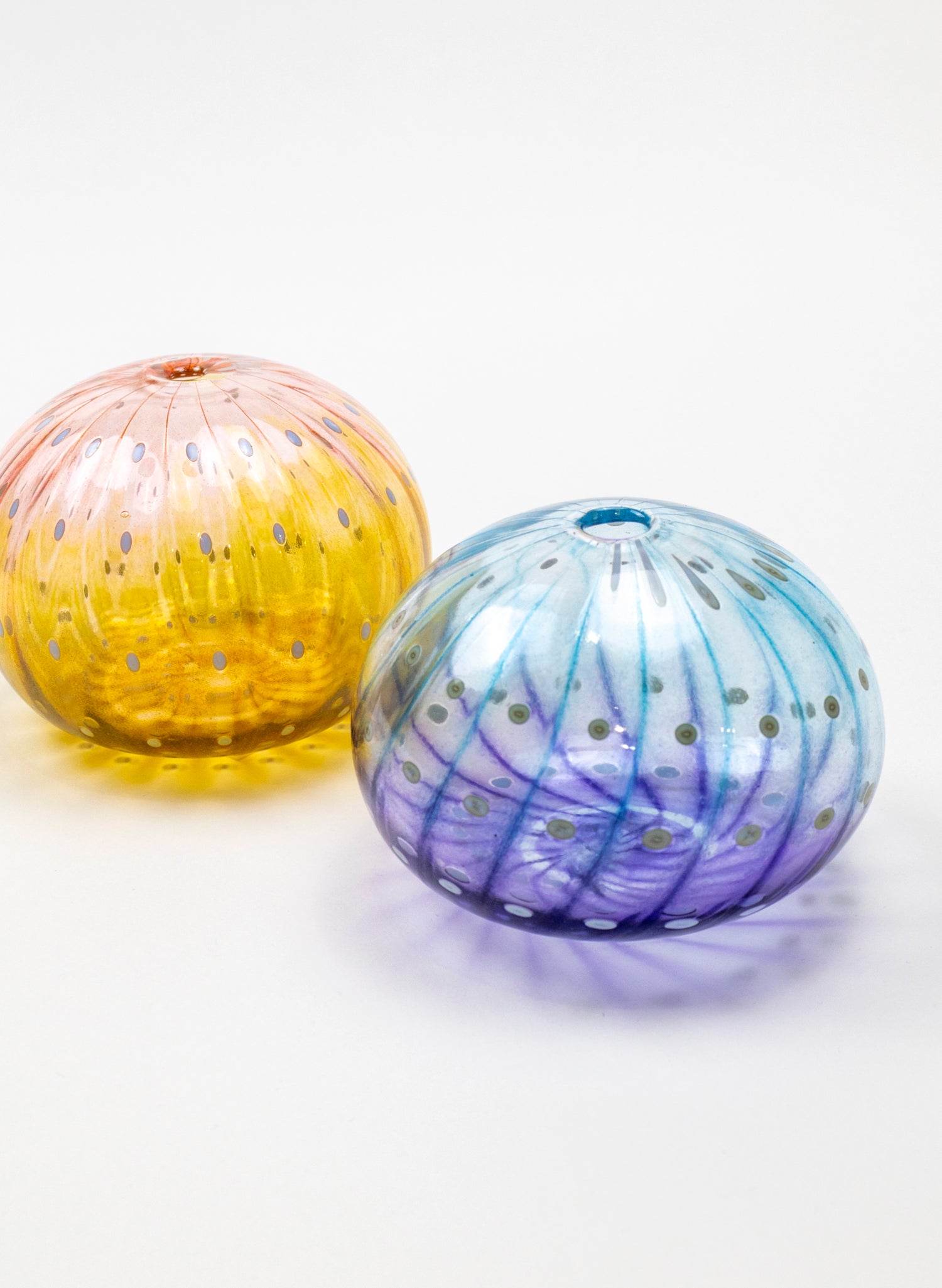 Sea Urchin - Blue &amp; Purple
