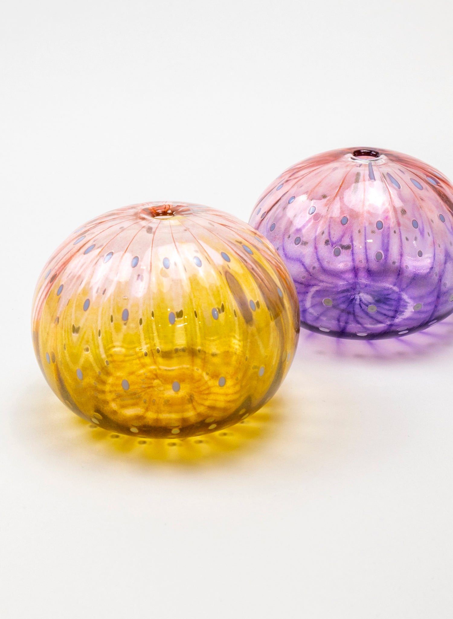 Sea Urchin - Pink &amp; Gold