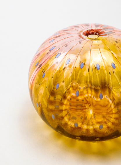 Sea Urchin - Pink &amp; Gold