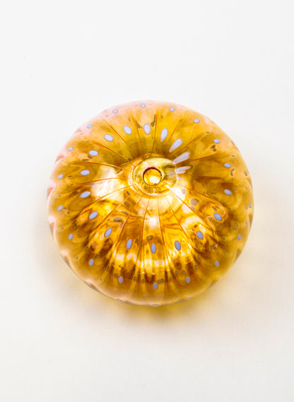 Sea Urchin - Pink &amp; Gold