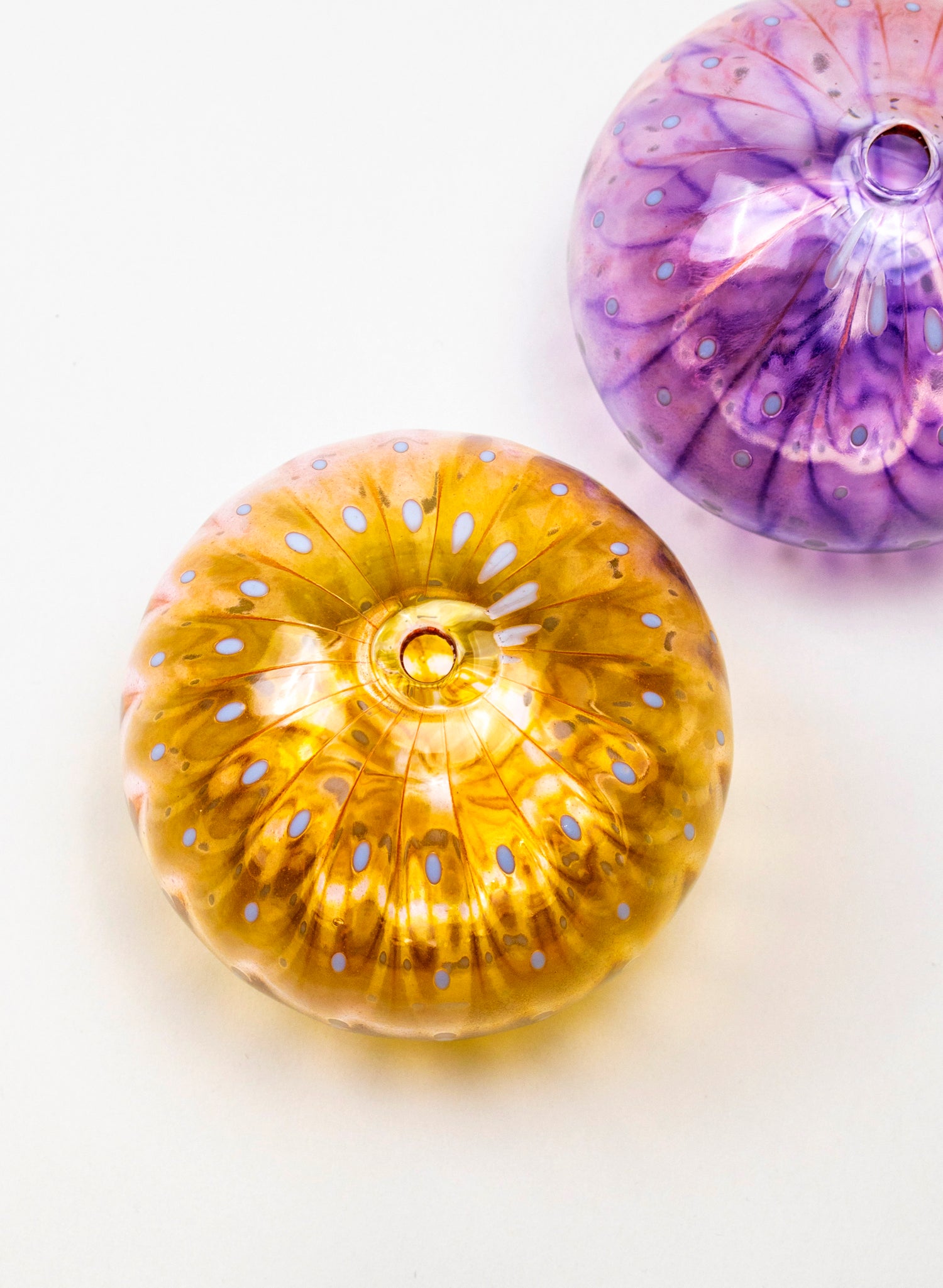 Sea Urchin - Pink &amp; Gold