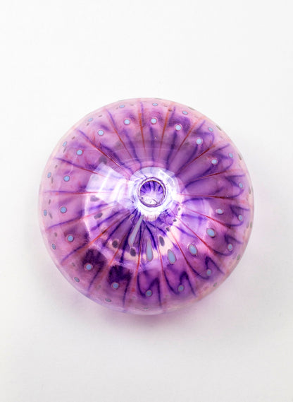 Sea Urchin - Pink &amp; Purple