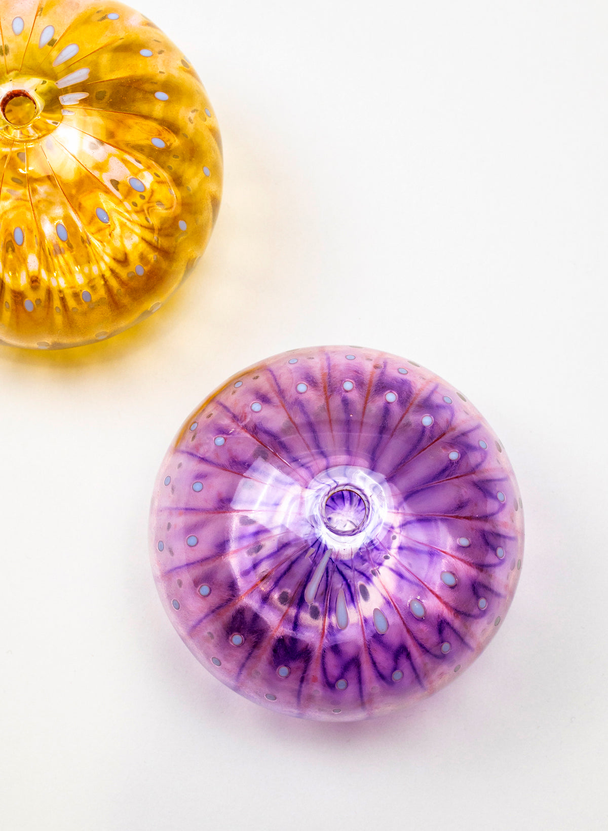 Sea Urchin - Pink &amp; Purple