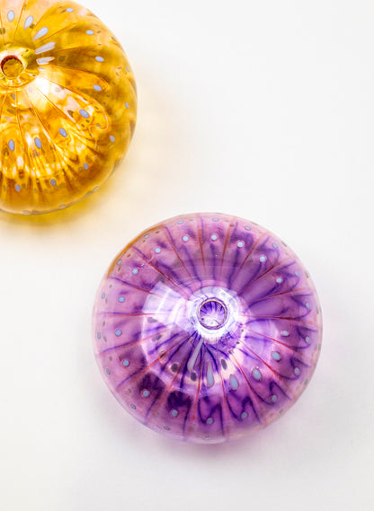 Sea Urchin - Pink &amp; Purple