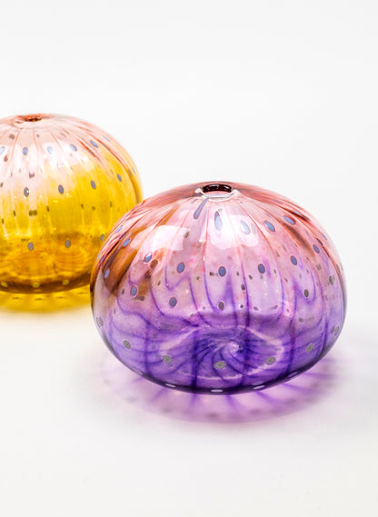 Sea Urchin - Pink &amp; Purple