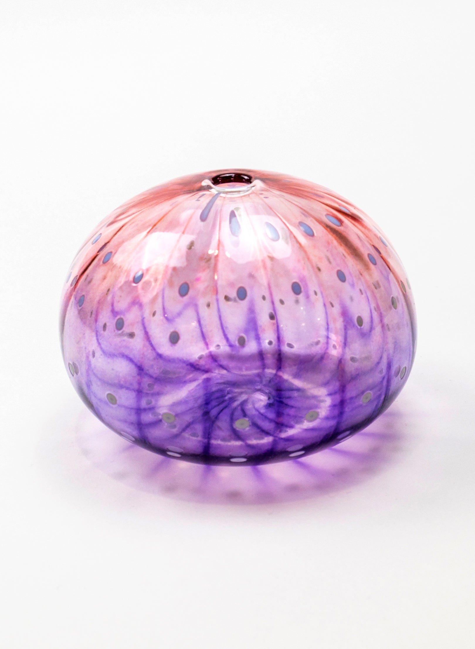 Sea Urchin - Pink &amp; Purple