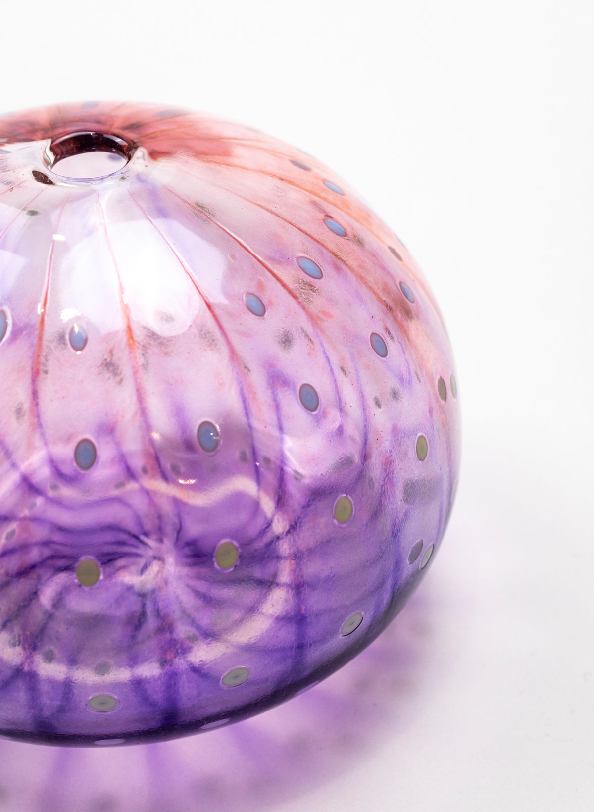Sea Urchin - Pink &amp; Purple
