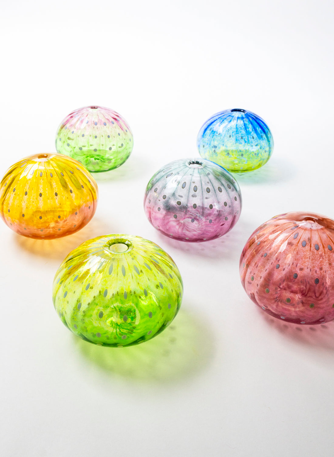 Sea Urchin - Yellow &amp; Lime