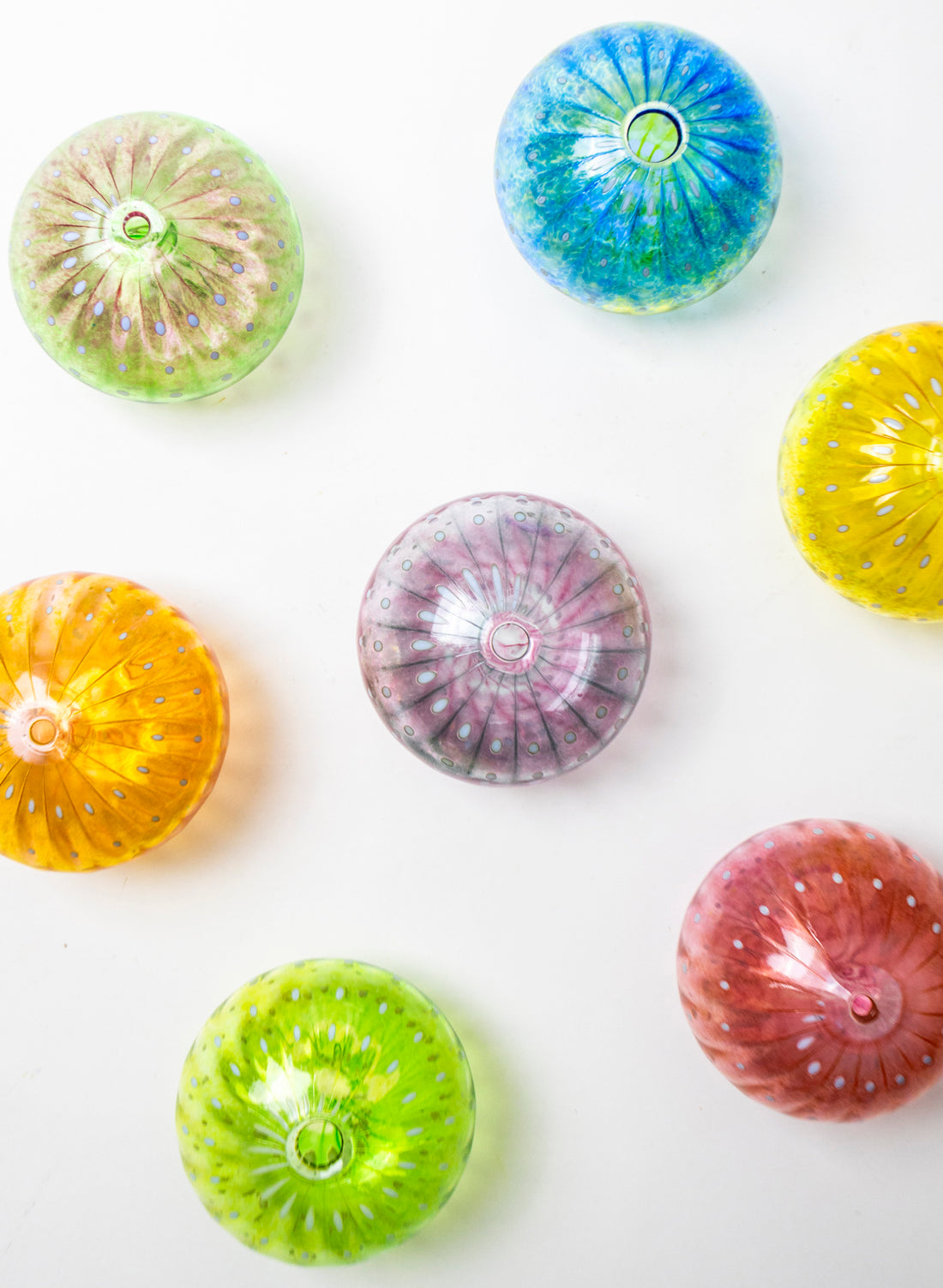 Sea Urchin - Green &amp; Gold