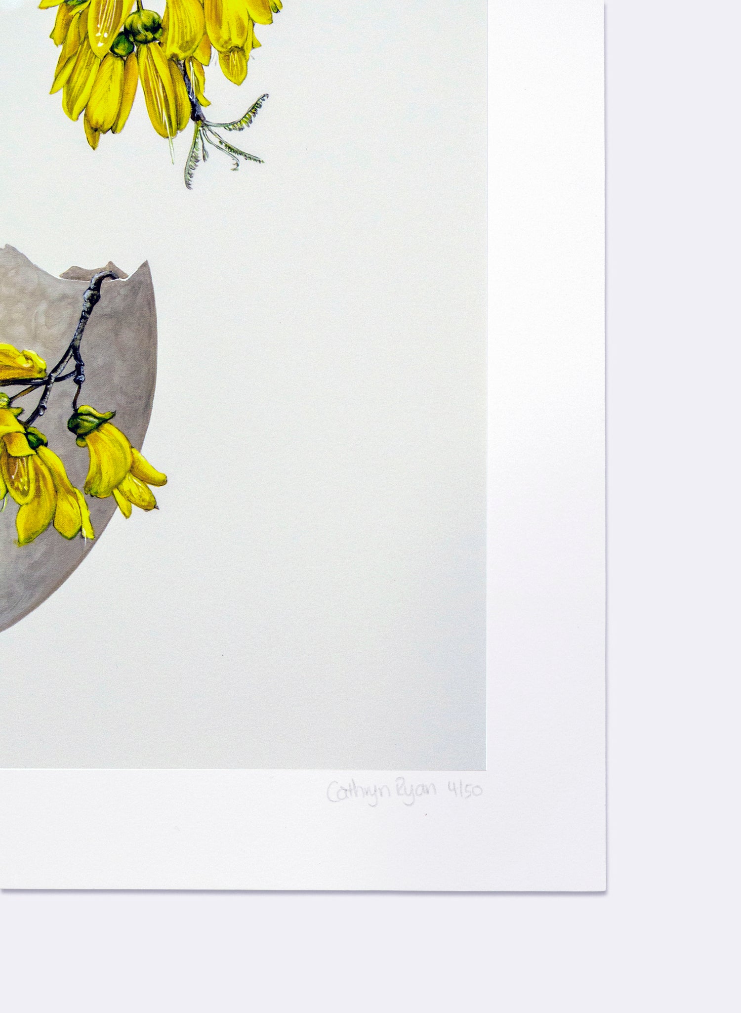 Eggshell Exhibition - Giclée Print