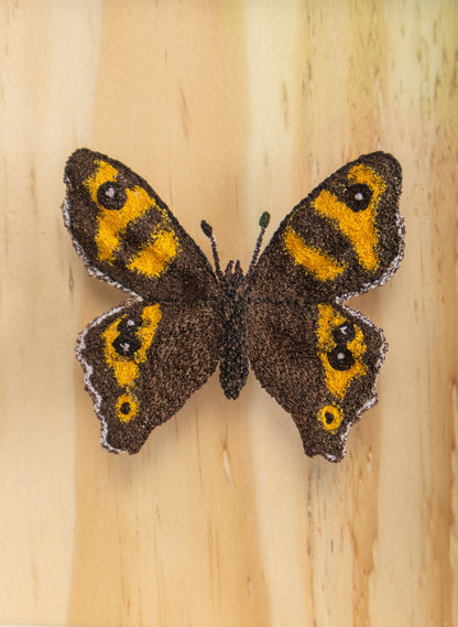 NZ Forest Ringlet Butterfly - 3D Embroidery