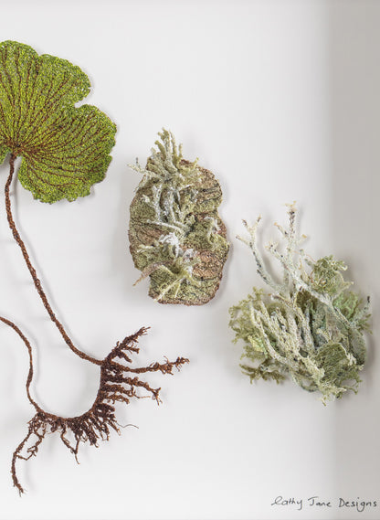 NZ Kidney Fern &amp; Lichens - 3D Embroidery