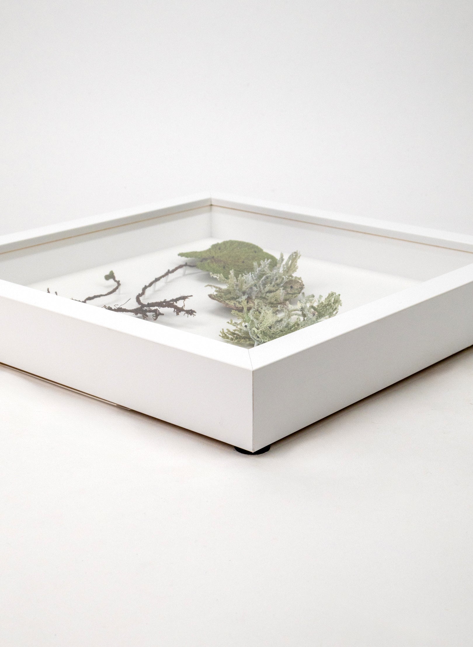 NZ Kidney Fern &amp; Lichens - 3D Embroidery