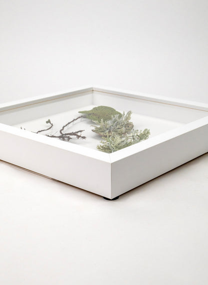 NZ Kidney Fern &amp; Lichens - 3D Embroidery