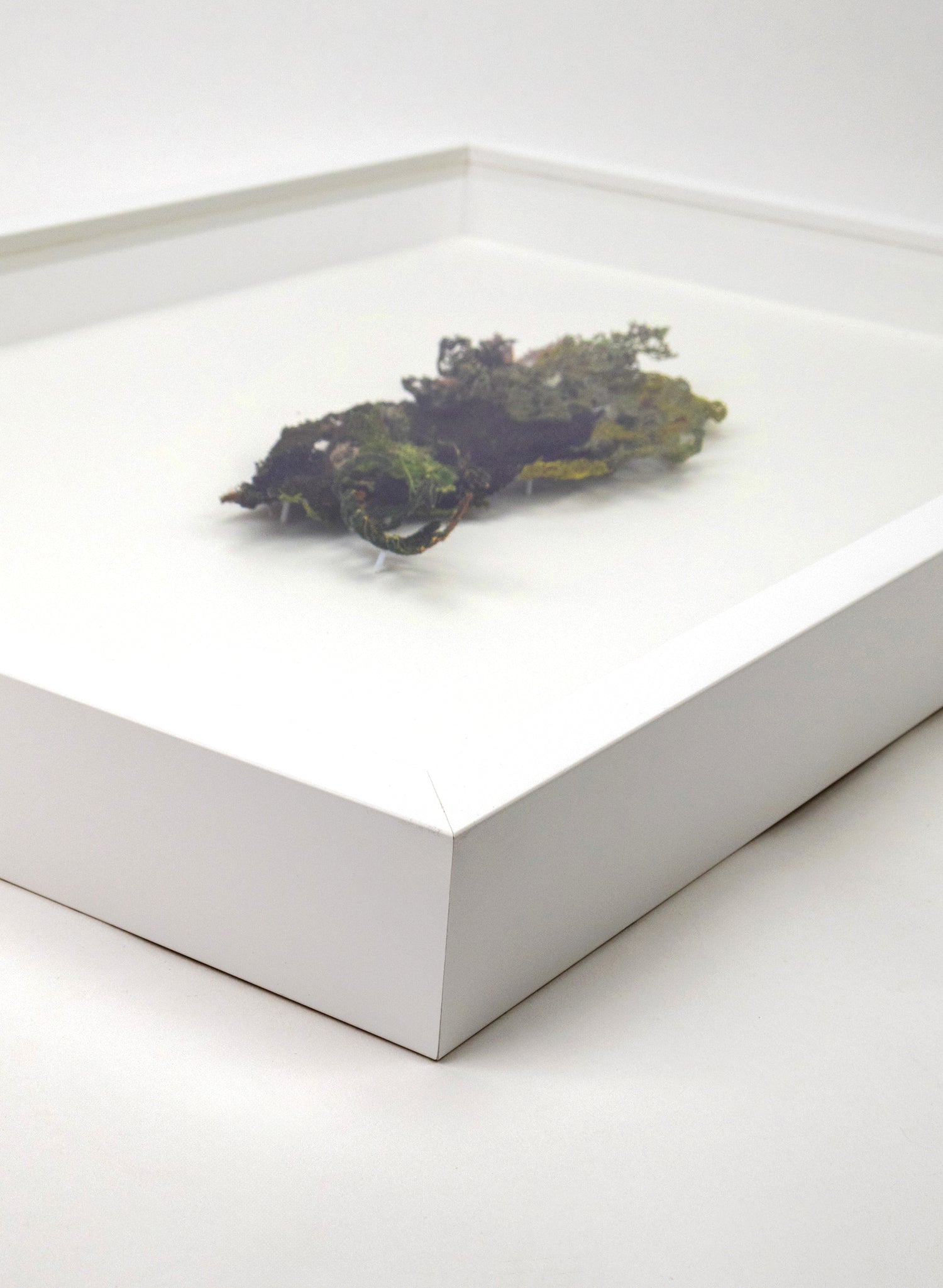 Layers of Lichen - 3D Embroidery