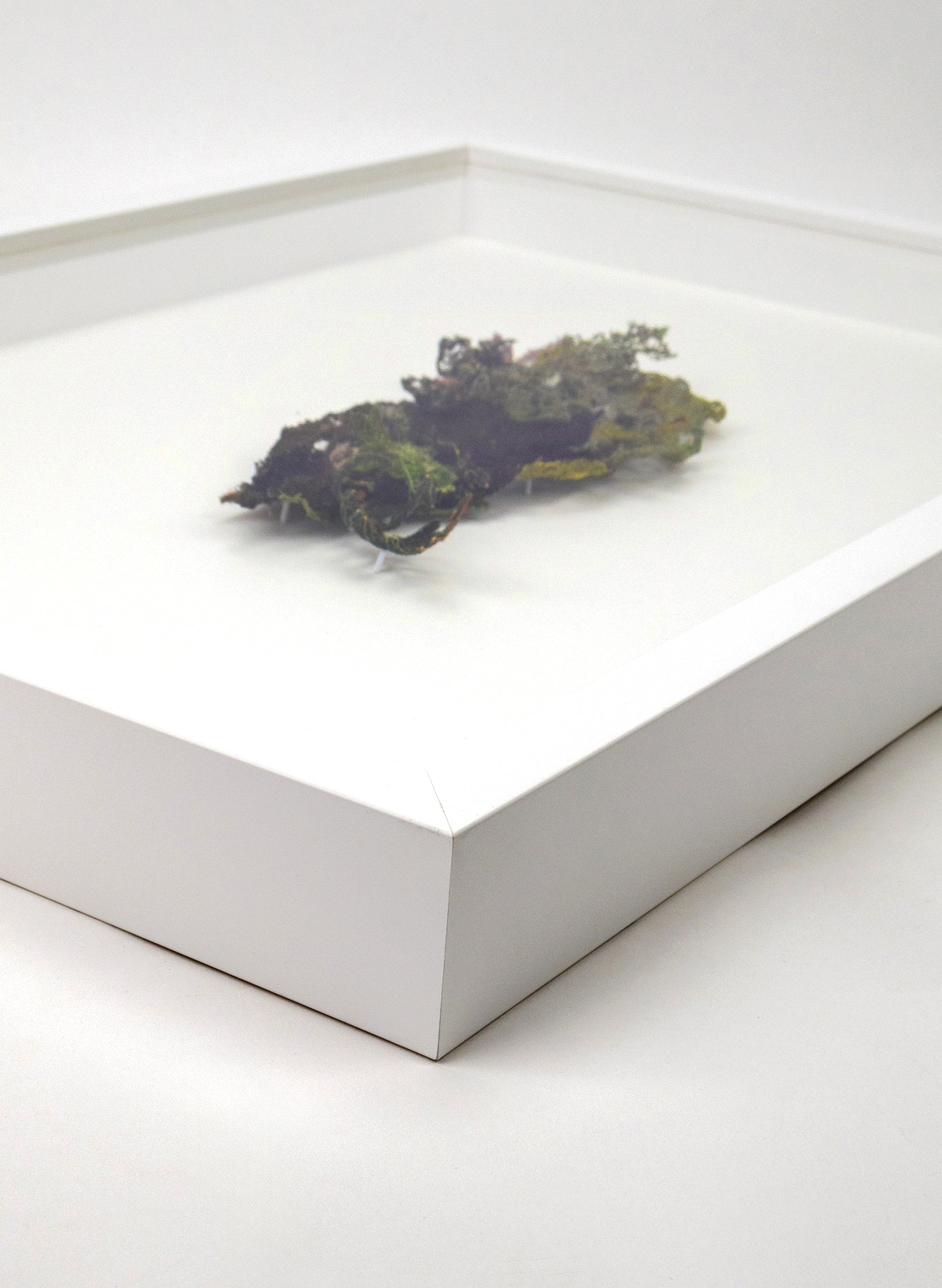 Layers of Lichen - 3D Embroidery