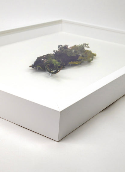 Layers of Lichen - 3D Embroidery