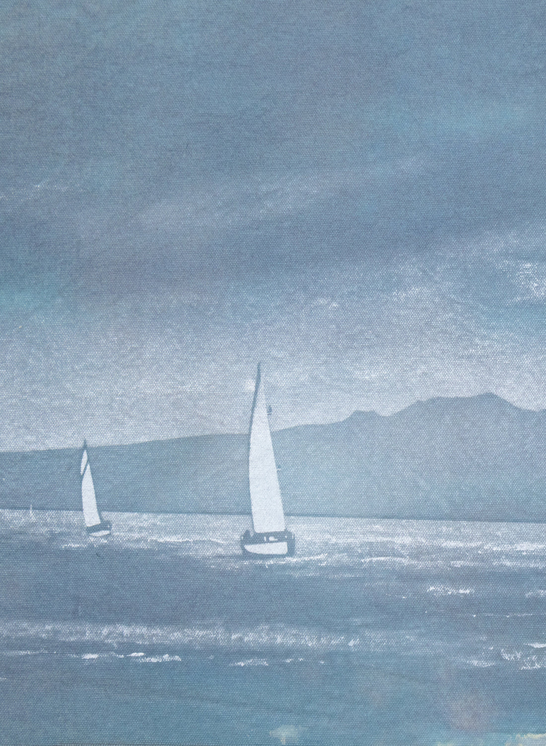 Seachange Rangitoto and Sailing Race Flag 25-819