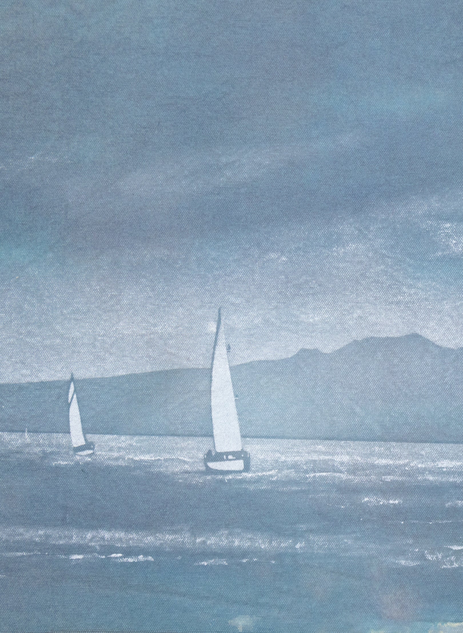 Seachange Rangitoto and Sailing Race Flag 25-819